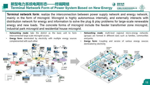 中国电科院 王继业 新型电力系统的技术问题研究