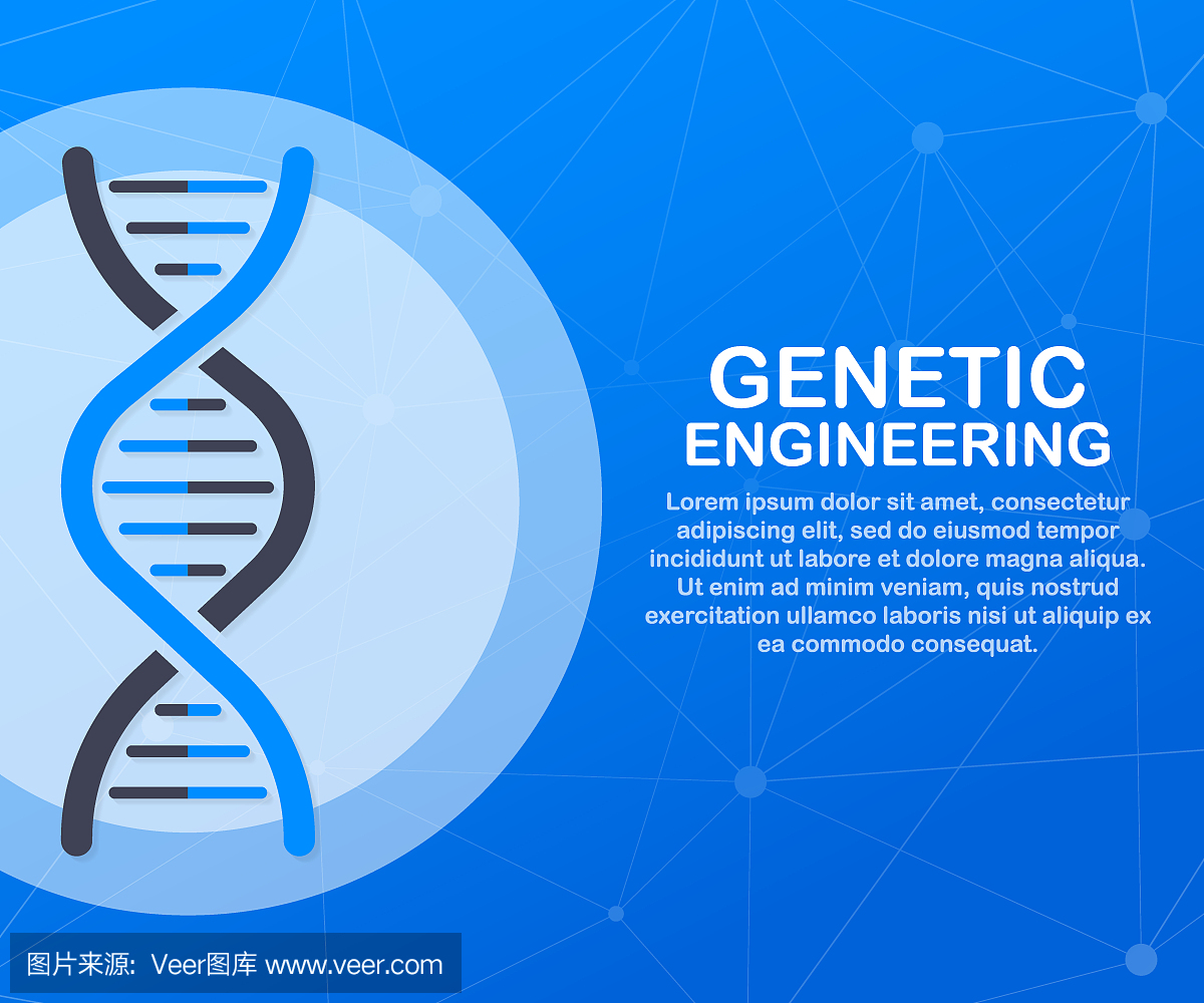 基因工程的概念。可以用于网页横幅,信息图表,英雄图像。矢量插图。