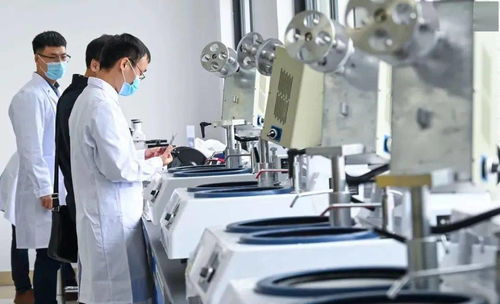 划重点 这些 阳江元素 写入省政府工作报告