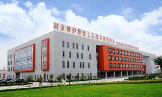 利辛农民,土壤可以通过修复,实现作物高产,金正大国际富朗产品将在利辛,开启亲土种植新时代