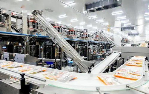 严防严控安全风险 河北部署开展冷冻饮品 速冻食品生产企业专项整治行动