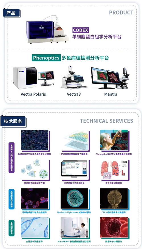 cell 单细胞 多色免疫荧光技术在研究肿瘤疫苗新靶点中的应用