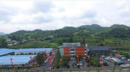 中国鱼子酱第一股清江鲟龙渔业