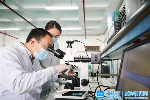 威海市人民政府 今日威海 政策 激活威海 医字系 产业发展引擎