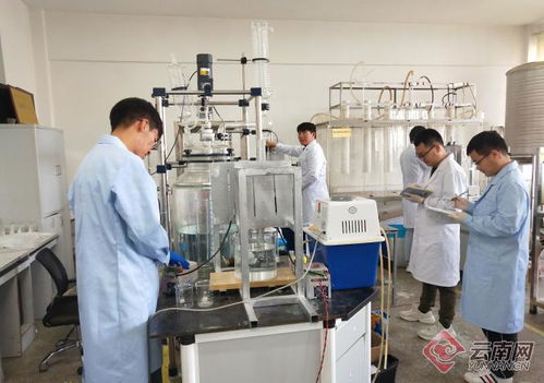 追梦绿水青山 看昆明理工大学科研团队如何低碳减排创发展