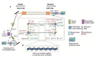 2016年中国重大科学 技术和工程进展 技术篇