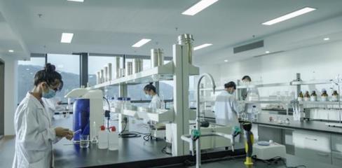 守正创新,理想华莱引领黑茶产业新变革