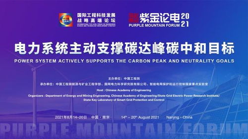 2021国际工程科技发展战略高端论坛暨第六届紫金论电国际学术研讨会召开