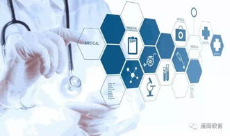 不考研相当于白读的八大专业