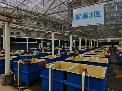 厦门市海洋与水产学会海洋文化与科普专业委员会晋江围头调研