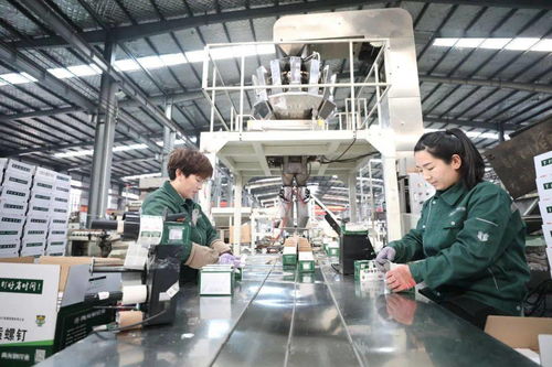 强势霸屏 中央主流媒体聚焦邢台工程与技术创新