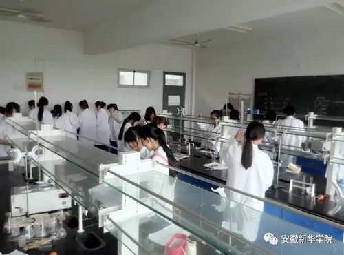 教授带你逛专业 之药学院 工程和技术研究与试验发展的融合与前景