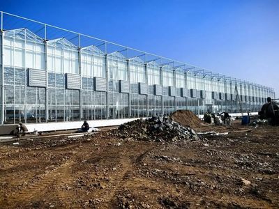 辽阳灯塔 瞄准新科技，跑好水稻生产“第一棒”——工程和技术研究与试验发展